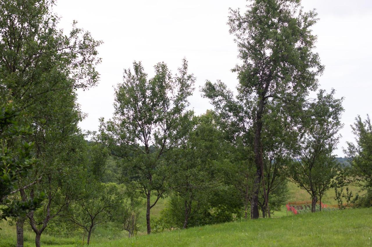 House Vranic Hotel Rakovica Bagian luar foto