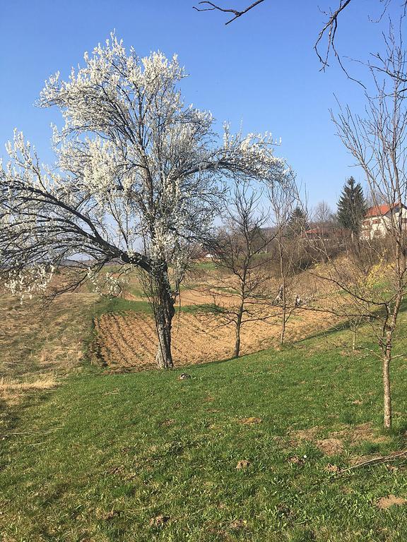 House Vranic Hotel Rakovica Bagian luar foto